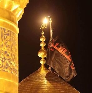 Meet your Posher, Angelic